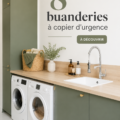 Une buanderie moderne avec des rangements organisés et un décor agréable.