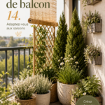 Jardin de balcon évolutif avec différentes plantes saisonnières