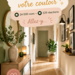Couloir décoré avec des éléments chaleureux et accueillants
