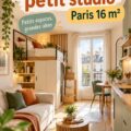 Un petit studio de 16m² bien aménagé avec des meubles fonctionnels et une décoration chaleureuse.