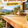 terrasse en robinier sur poutres douglas dans un jardin ensoleillé