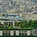 Sopenti Atelier végétalise toits-terrasses partagés et pédagogiques