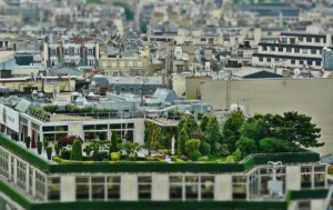 Sopenti Atelier végétalise toits-terrasses partagés et pédagogiques